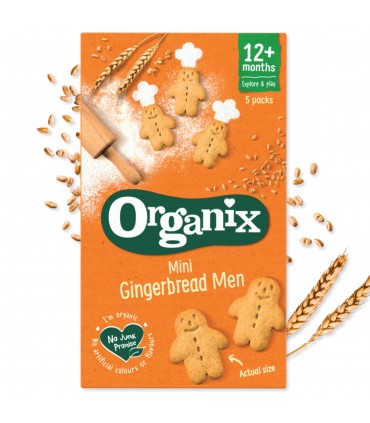 ORGANIX - BISCUITI ECOLOGICI ”MINI”  (BIO) CU GHIMBIR, 5X20G, 12+