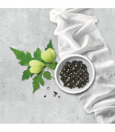 Rausch - Gama Pentru Scalp sensibil - Balsam cu Heartseed*, 150ml