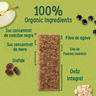 ORGANIX - BATOANE ECOLOGICE (BIO) DIN OVAZ INTEGRAL CU MERE SI COACAZE NEGRE 6X23G, 12luni+