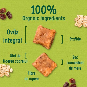 ORGANIX - FLAPJACK - CUBULETE ECOLOGICE (BIO) MOI DIN OVAZ INTEGRAL SI STAFIDE, 4X20G, 12luni+