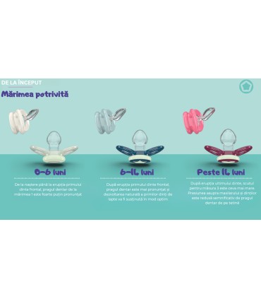 SUZETE DENTISTAR DAY & NIGHT, SILICON, TALIE 1,  0+