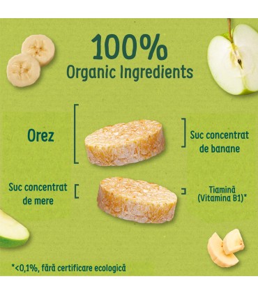 ORGANIX - RONDELE ECOLOGICE (BIO) DIN OREZ CU BANANE, 40G, 12luni+