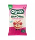 ORGANIX - RONDELE ECOLOGICE (BIO) DIN OREZ CU FRUCTE DE VARA, 40G, 12luni+