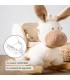 Nattou - Balansoar Teddy Măgărușul, 10-36 luni