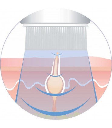 MEDEL BEAUTY- PERIE FACIALA