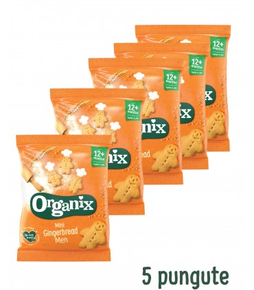 ORGANIX - BISCUITI ECOLOGICI ”MINI”  (BIO) CU GHIMBIR, 5X20G, 12+