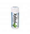 xylitol chewing gum peppermint 30g - 30 pastile