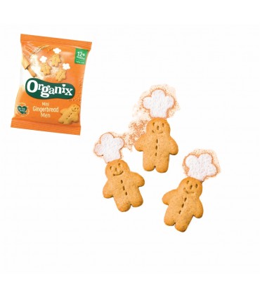 ORGANIX - BISCUITI ECOLOGICI ”MINI”  (BIO) CU GHIMBIR, 5X20G, 12+