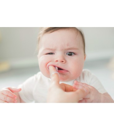 Nuby - Pasta de dinti 20g + degetar din silicon, 4luni+